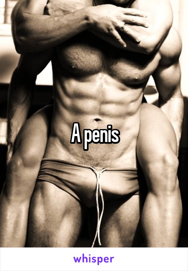 A penis