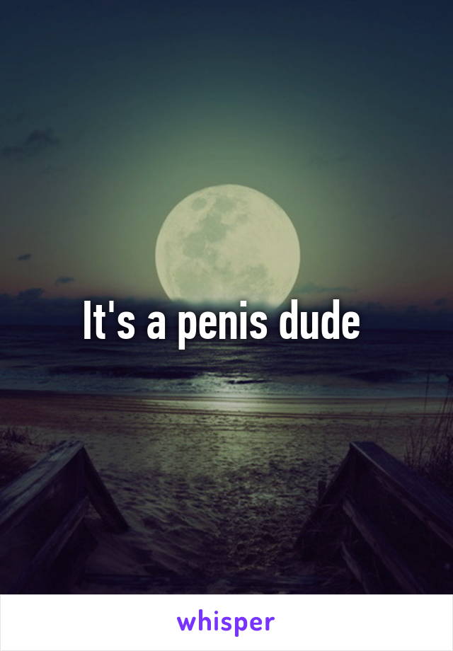It's a penis dude 