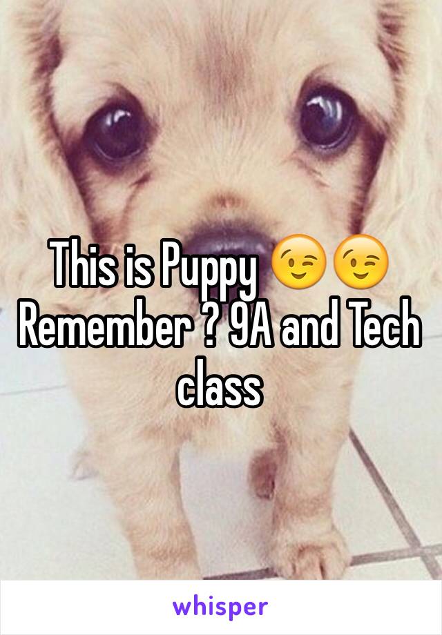 This is Puppy 😉😉 Remember ? 9A and Tech class 