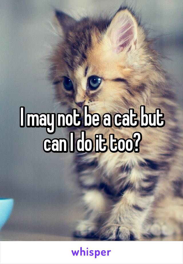 I may not be a cat but can I do it too?