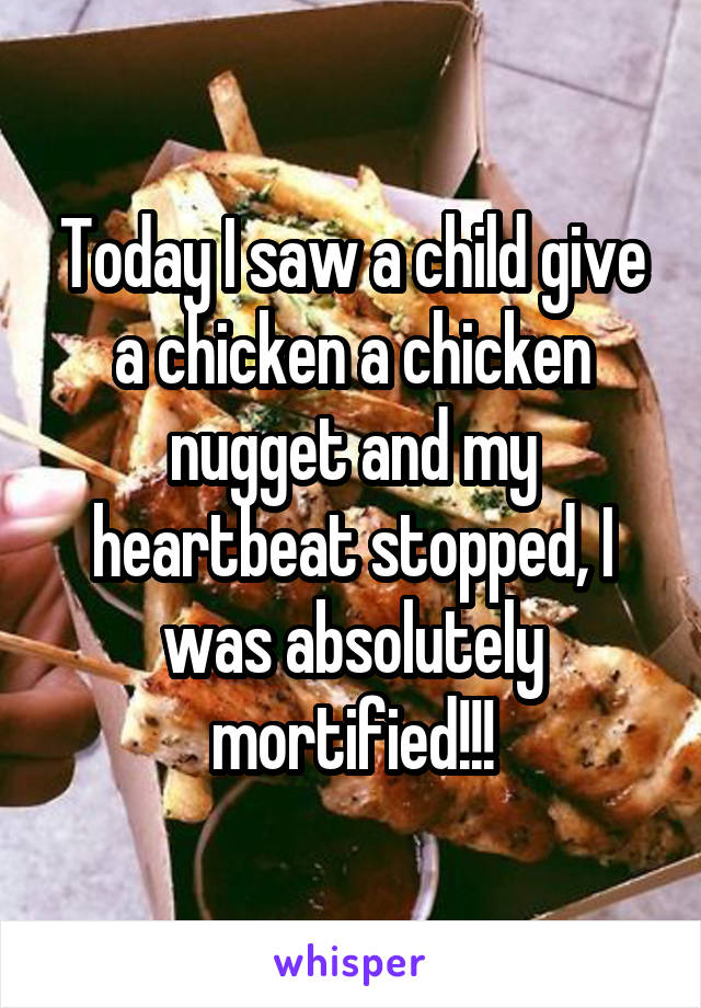 Today I saw a child give a chicken a chicken nugget and my heartbeat stopped, I was absolutely mortified!!!