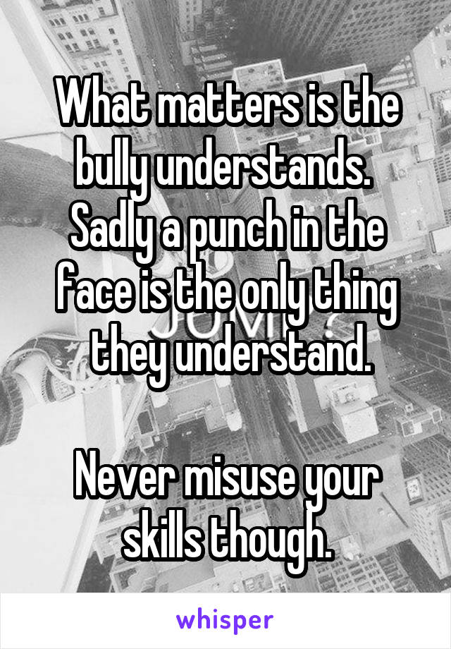 What matters is the bully understands.  Sadly a punch in the face is the only thing
 they understand.

Never misuse your skills though.