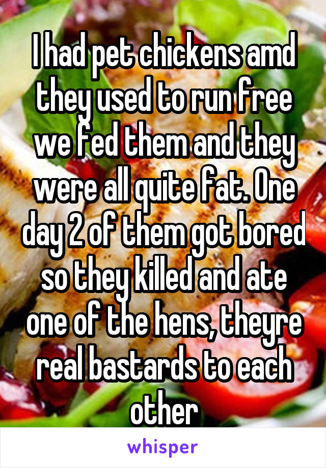 I had pet chickens amd they used to run free we fed them and they were all quite fat. One day 2 of them got bored so they killed and ate one of the hens, theyre real bastards to each other