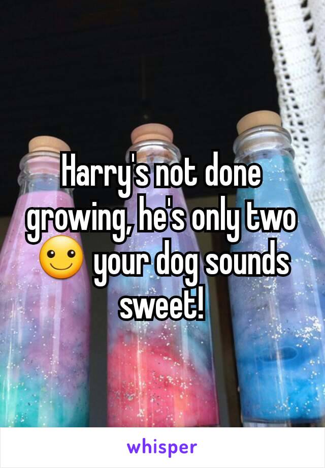 Harry's not done growing, he's only two ☺ your dog sounds sweet!