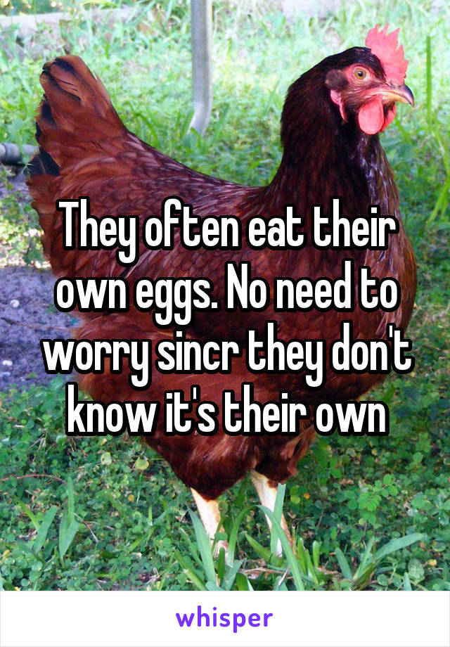 They often eat their own eggs. No need to worry sincr they don't know it's their own