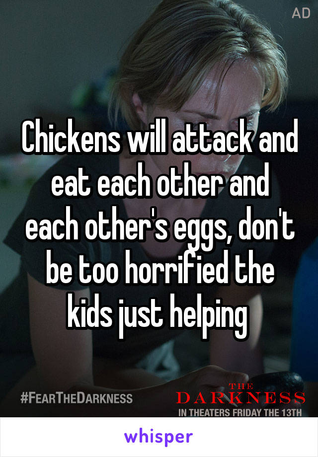 Chickens will attack and eat each other and each other's eggs, don't be too horrified the kids just helping 