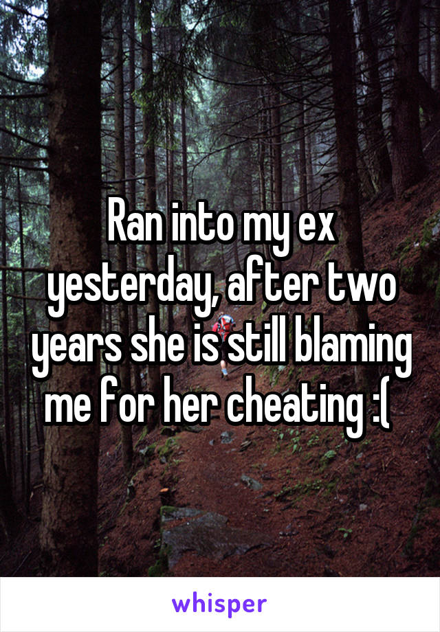 Ran into my ex yesterday, after two years she is still blaming me for her cheating :( 