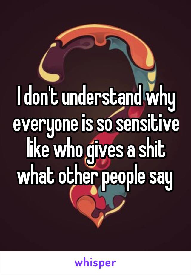 I don't understand why everyone is so sensitive like who gives a shit what other people say 