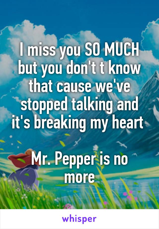 I miss you SO MUCH but you don't t know that cause we've stopped talking and it's breaking my heart 

Mr. Pepper is no more