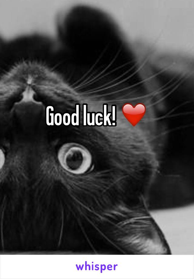Good luck! ❤️


