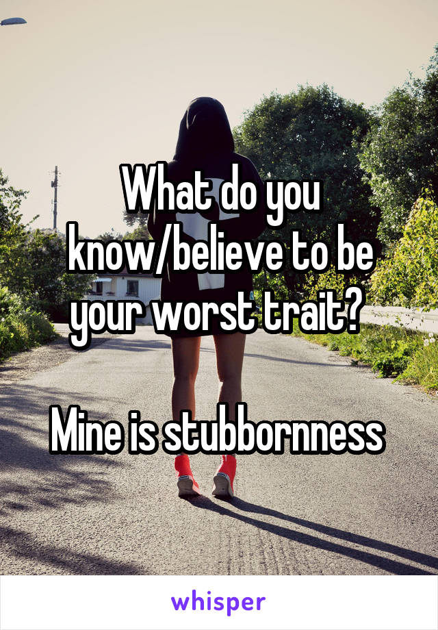 What do you know/believe to be your worst trait? 

Mine is stubbornness 