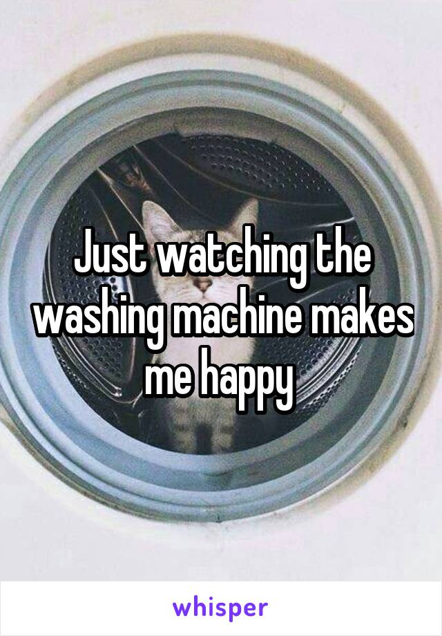 Just watching the washing machine makes me happy 