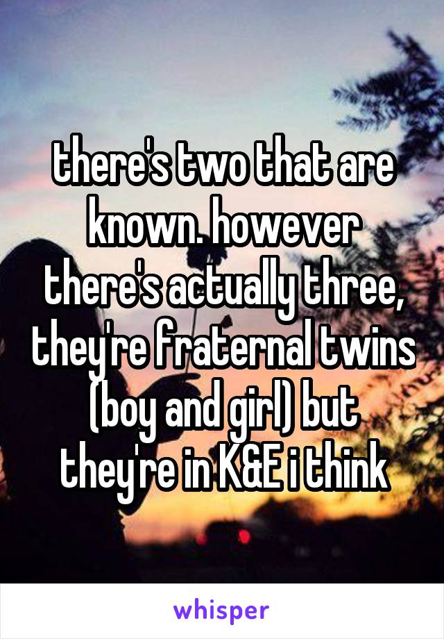 there's two that are known. however there's actually three, they're fraternal twins (boy and girl) but they're in K&E i think