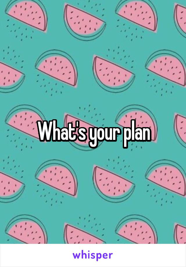 What's your plan