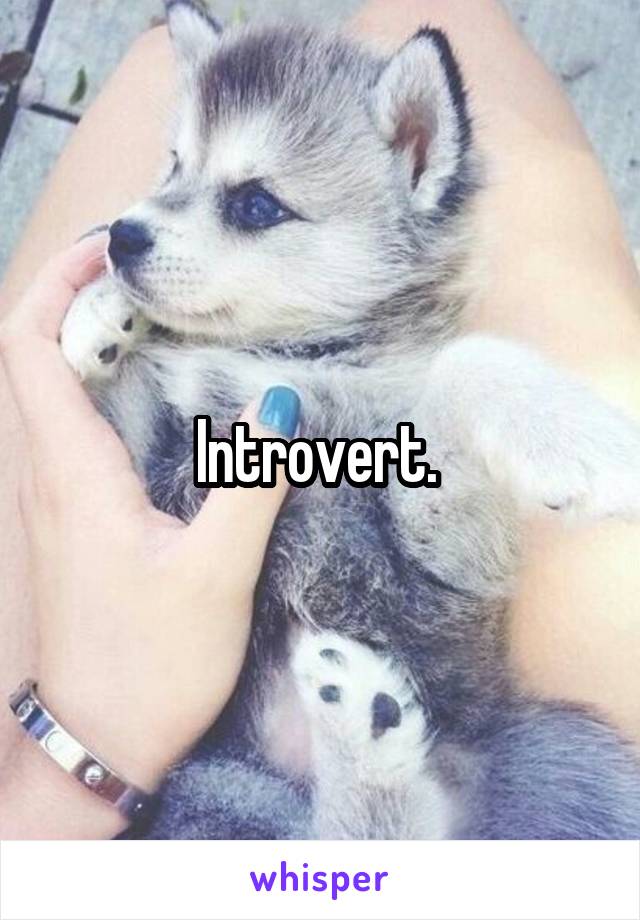 Introvert. 