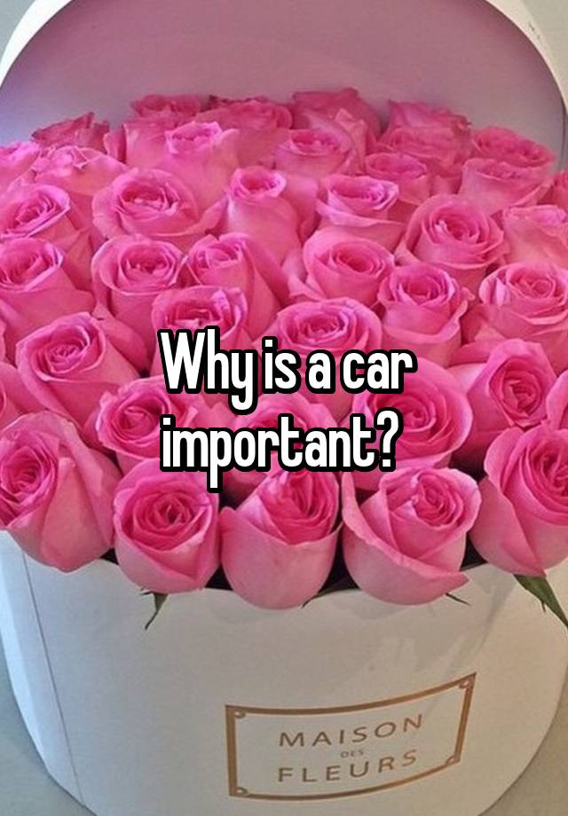 why-is-a-car-important