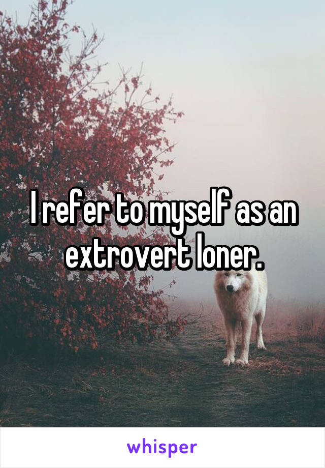 I refer to myself as an extrovert loner.