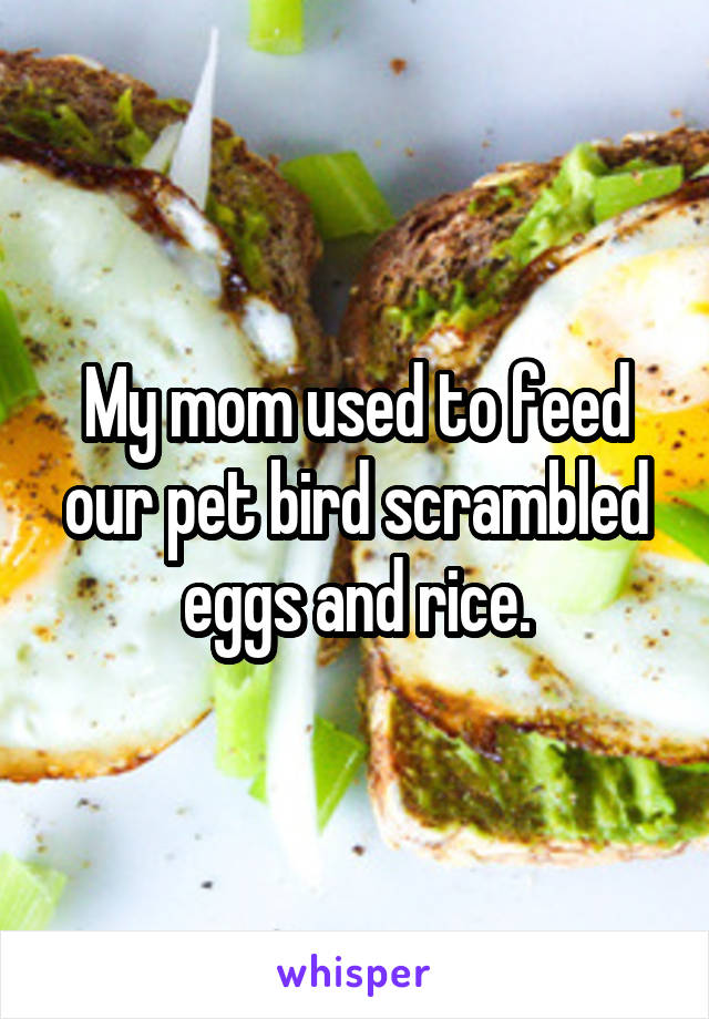 My mom used to feed our pet bird scrambled eggs and rice.