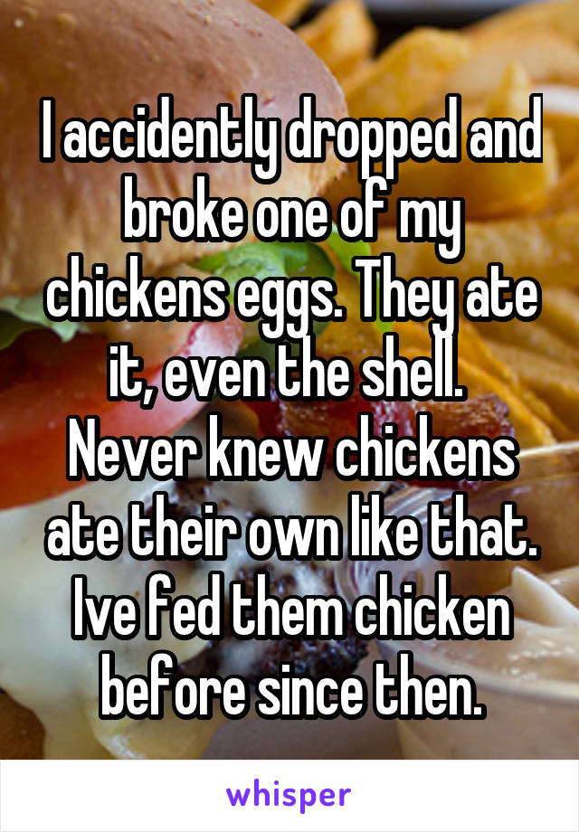 I accidently dropped and broke one of my chickens eggs. They ate it, even the shell. 
Never knew chickens ate their own like that. Ive fed them chicken before since then.