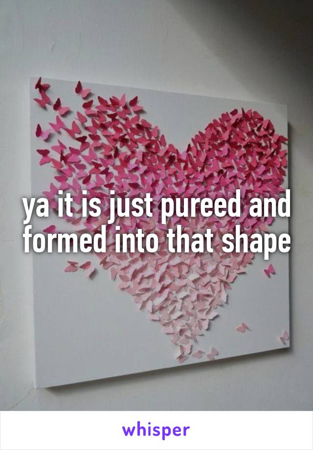 ya it is just pureed and formed into that shape