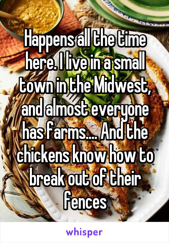 Happens all the time here. I live in a small town in the Midwest, and almost everyone has farms.... And the chickens know how to break out of their fences