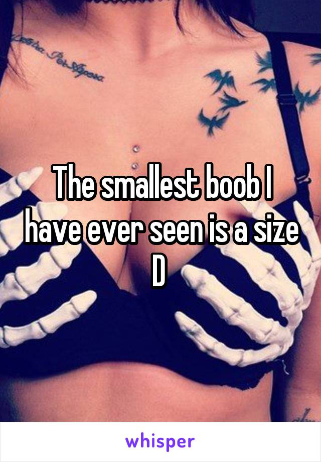The smallest boob I have ever seen is a size D