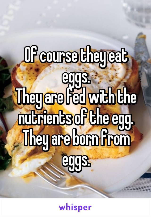 Of course they eat eggs.
They are fed with the nutrients of the egg.
They are born from eggs.