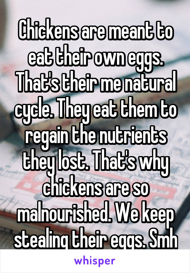 Chickens are meant to eat their own eggs. That's their me natural cycle. They eat them to regain the nutrients they lost. That's why chickens are so malnourished. We keep stealing their eggs. Smh