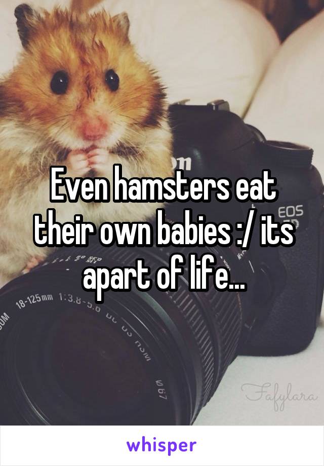 Even hamsters eat their own babies :/ its apart of life...