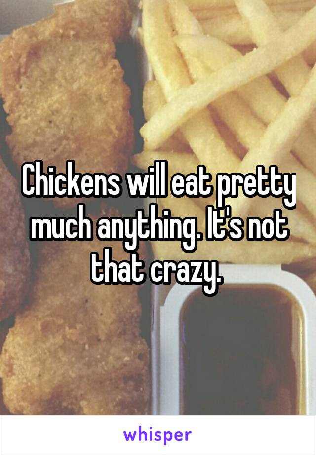 Chickens will eat pretty much anything. It's not that crazy. 