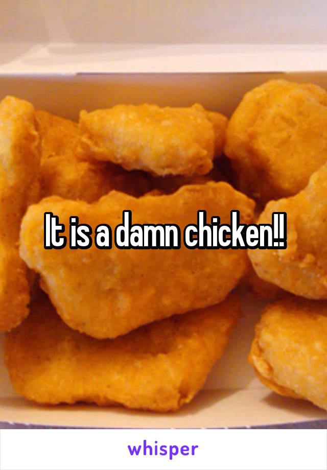 It is a damn chicken!!