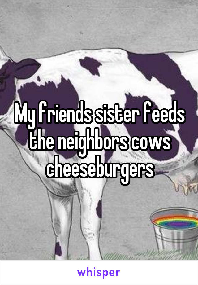 My friends sister feeds the neighbors cows cheeseburgers