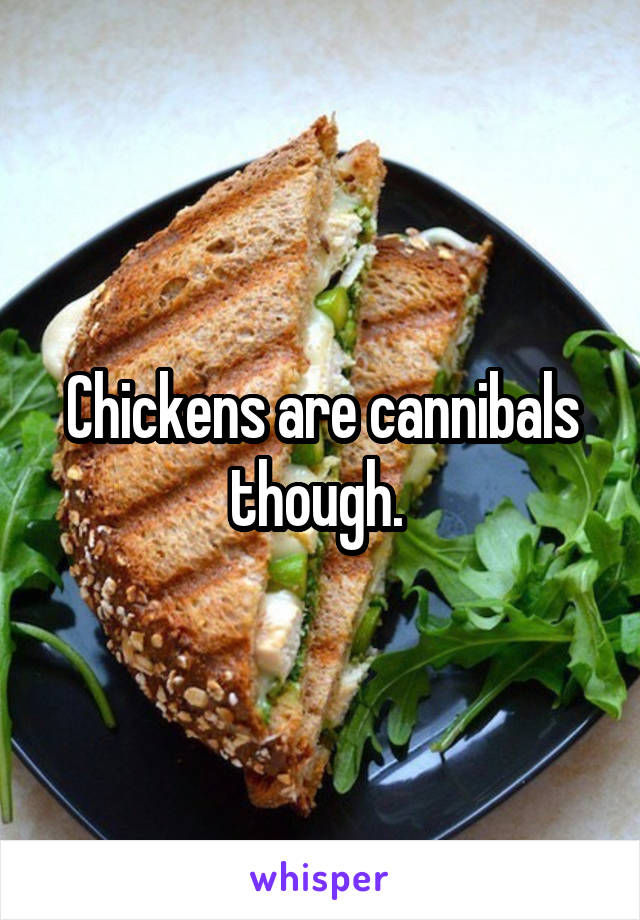 Chickens are cannibals though. 