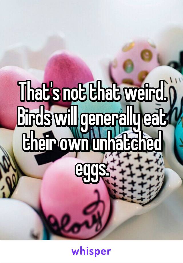 That's not that weird. Birds will generally eat their own unhatched eggs.