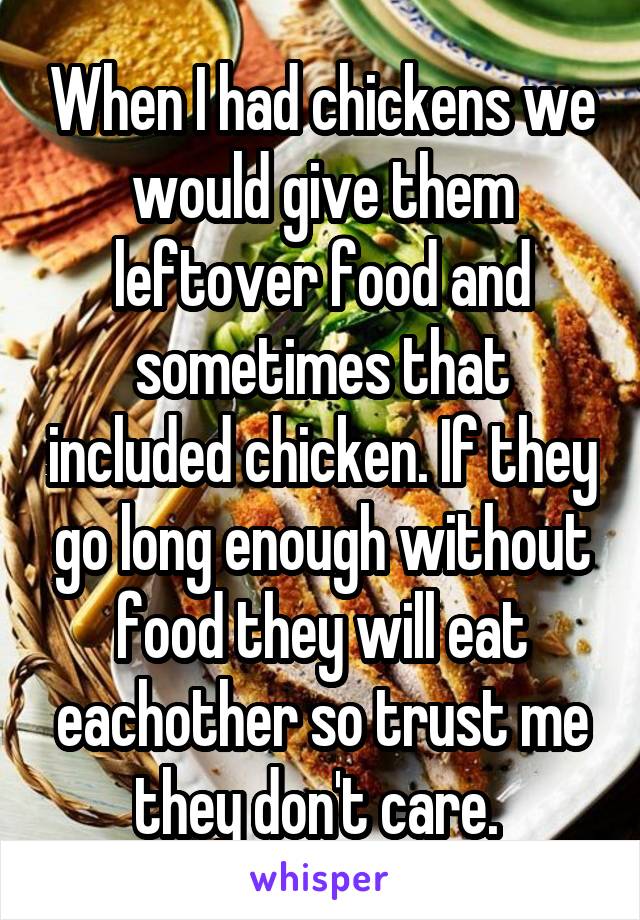 When I had chickens we would give them leftover food and sometimes that included chicken. If they go long enough without food they will eat eachother so trust me they don't care. 