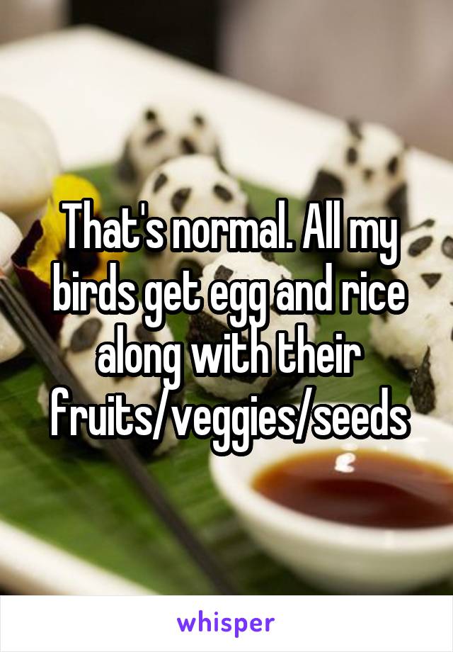 That's normal. All my birds get egg and rice along with their fruits/veggies/seeds