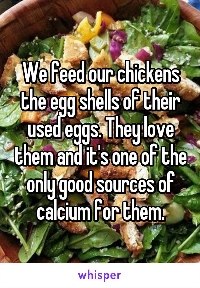 We feed our chickens the egg shells of their used eggs. They love them and it's one of the only good sources of calcium for them.