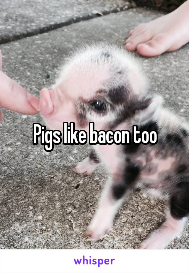 Pigs like bacon too