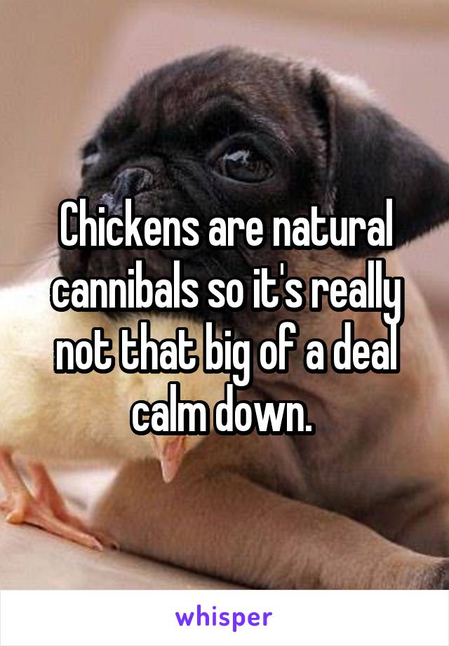 Chickens are natural cannibals so it's really not that big of a deal calm down. 