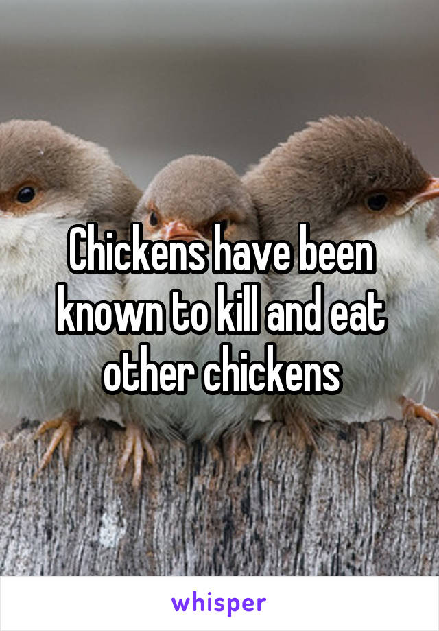 Chickens have been known to kill and eat other chickens