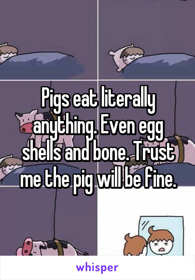 Pigs eat literally anything. Even egg shells and bone. Trust me the pig will be fine.