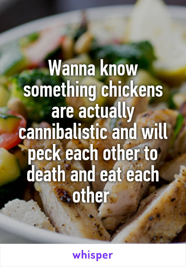 Wanna know something chickens are actually cannibalistic and will peck each other to death and eat each other 