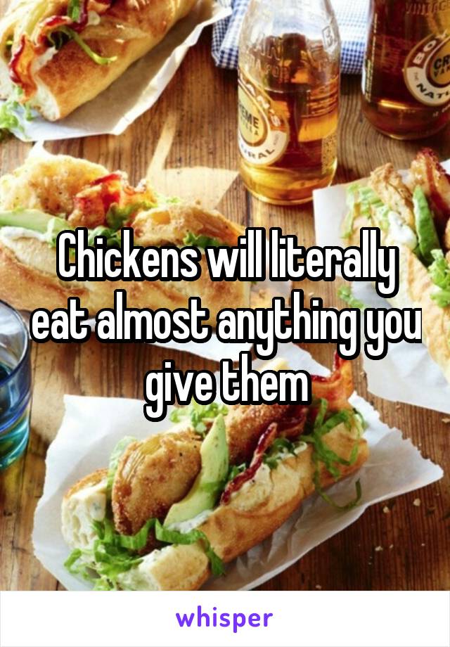 Chickens will literally eat almost anything you give them