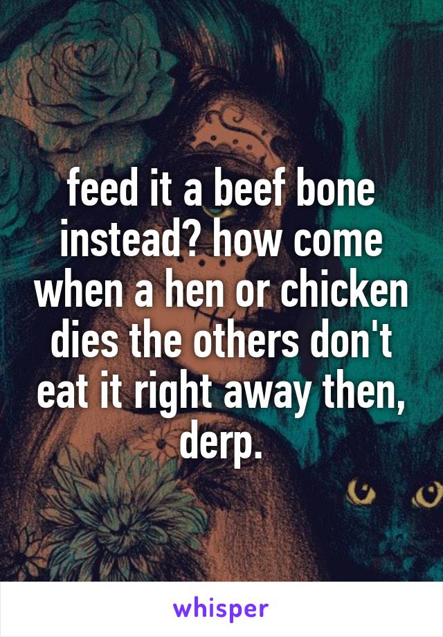 feed it a beef bone instead? how come when a hen or chicken dies the others don't eat it right away then, derp.