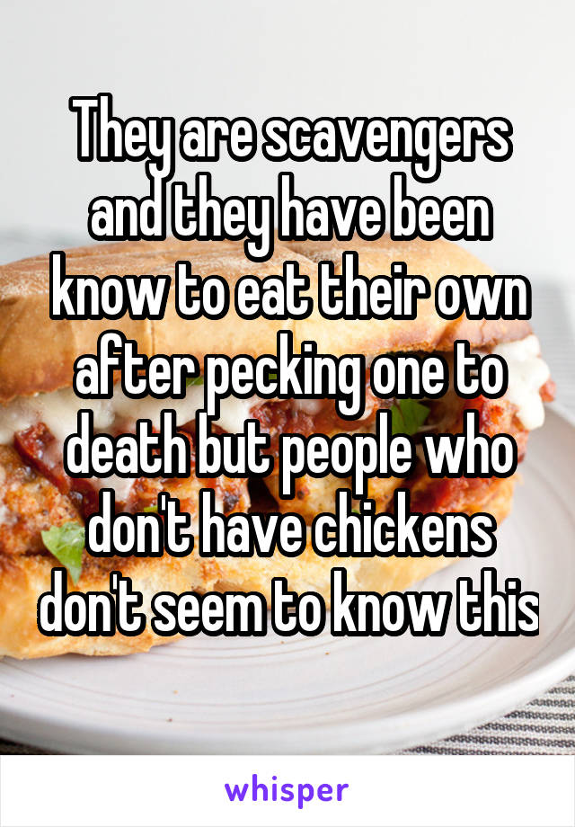 They are scavengers and they have been know to eat their own after pecking one to death but people who don't have chickens don't seem to know this 