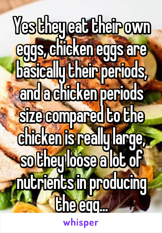 Yes they eat their own eggs, chicken eggs are basically their periods, and a chicken periods size compared to the chicken is really large, so they loose a lot of nutrients in producing the egg...