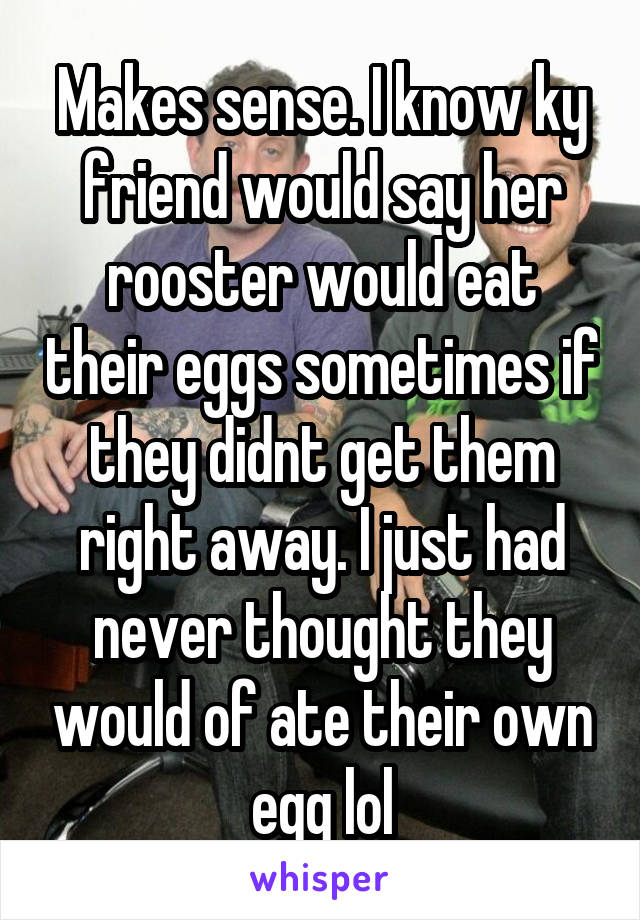 Makes sense. I know ky friend would say her rooster would eat their eggs sometimes if they didnt get them right away. I just had never thought they would of ate their own egg lol