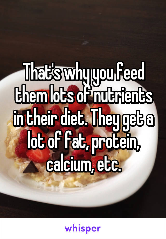 That's why you feed them lots of nutrients in their diet. They get a lot of fat, protein, calcium, etc.