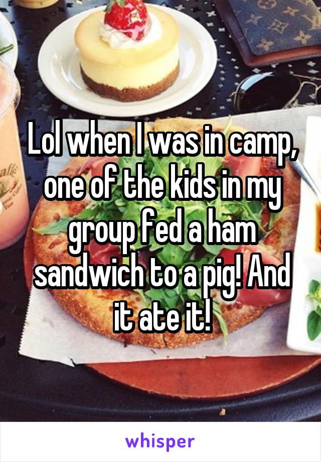 Lol when I was in camp, one of the kids in my group fed a ham sandwich to a pig! And it ate it!