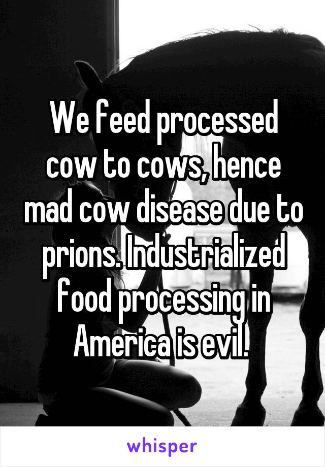 We feed processed cow to cows, hence mad cow disease due to prions. Industrialized food processing in America is evil. 